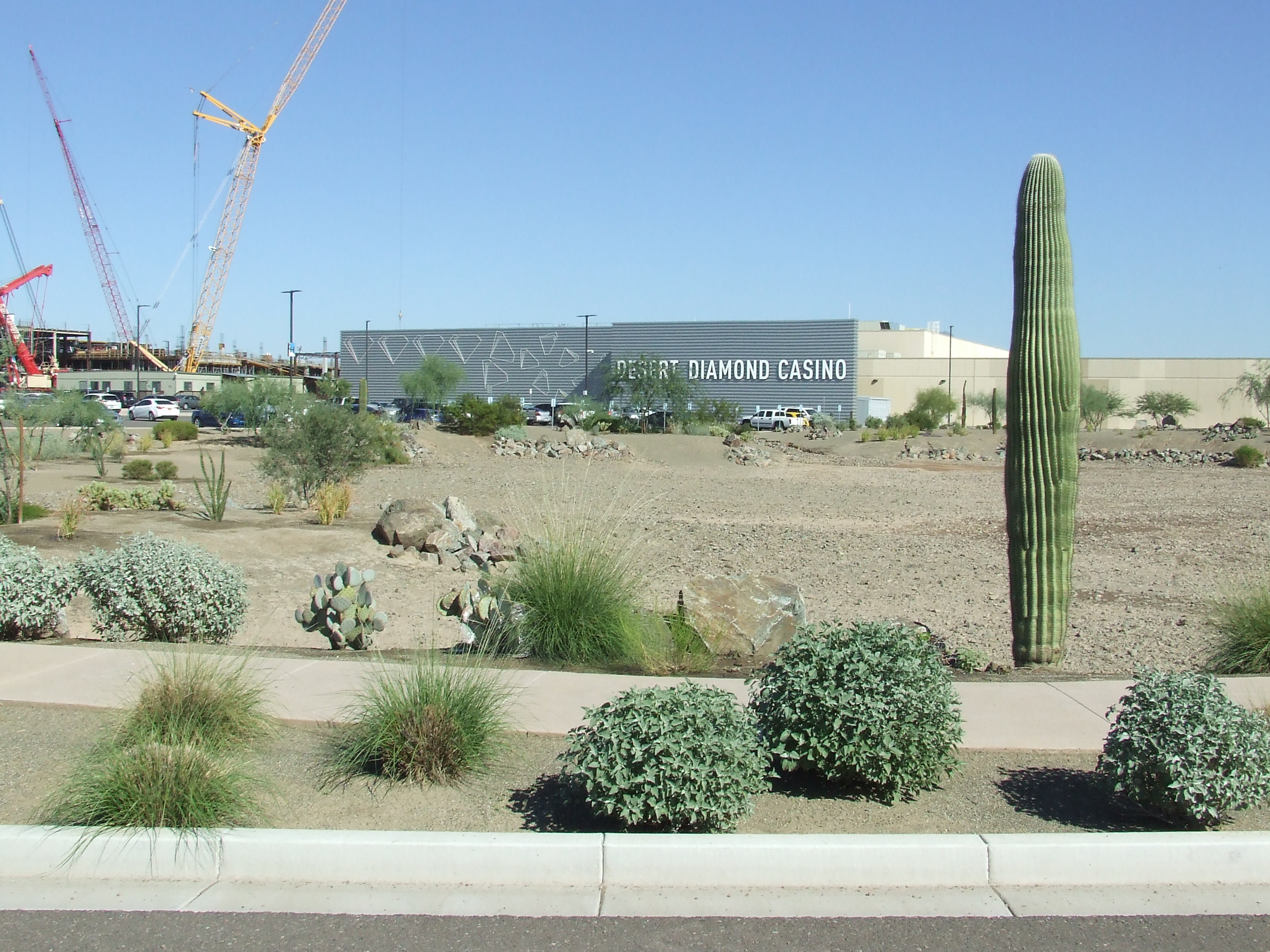 Desert Diamond West Valley Casino