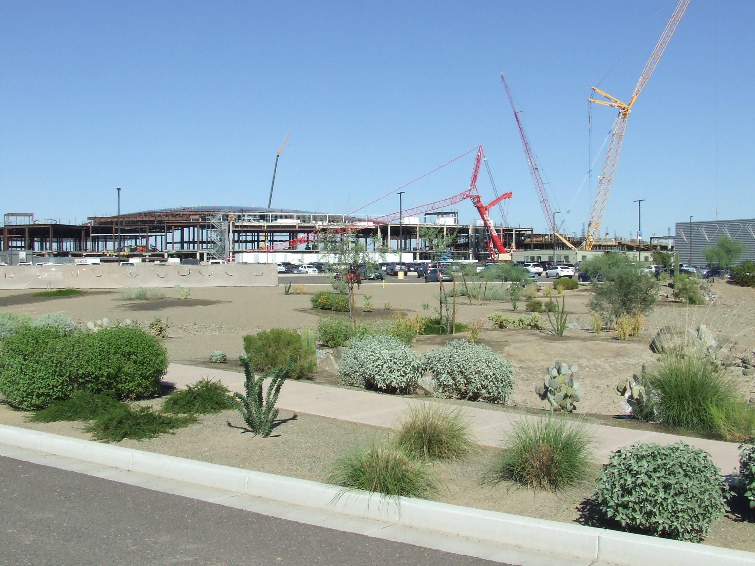 Desert Diamond West Valley Casino